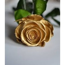 IMPORTED GOLD ROSES